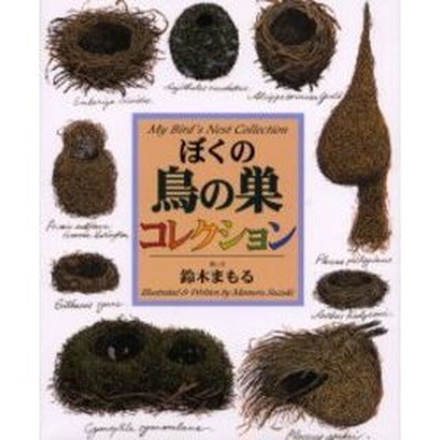 ぼくの鳥の巣コレクション