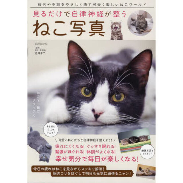 見るだけで自律神経が整うねこ写真　疲労や不調をやさしく癒す可愛く楽しいねこワールド