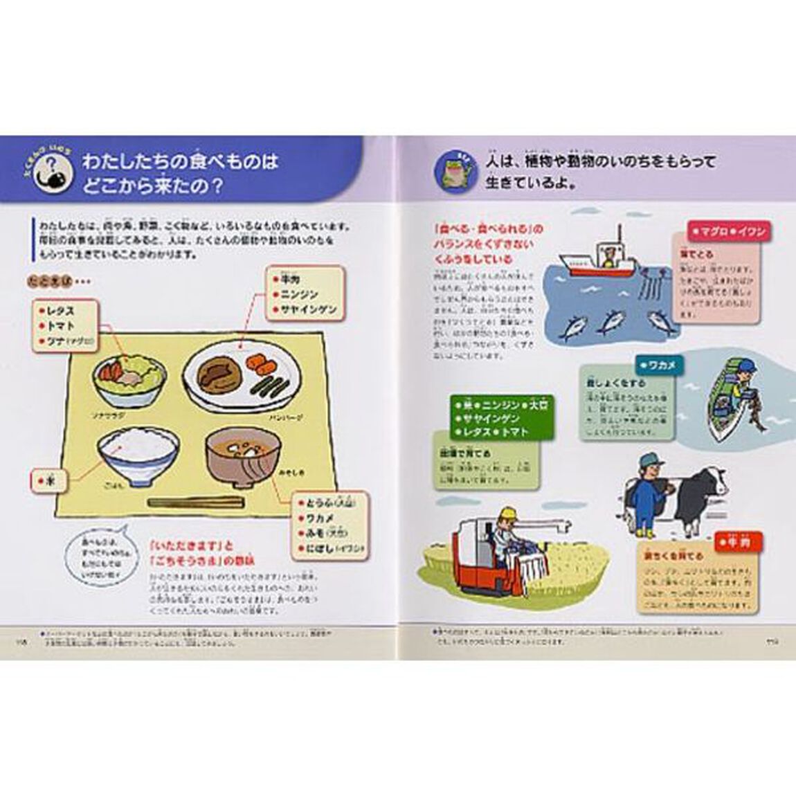 いのちの図鑑　ふしぎがいっぱい！　うちゅう　地球　人体　動物　植物