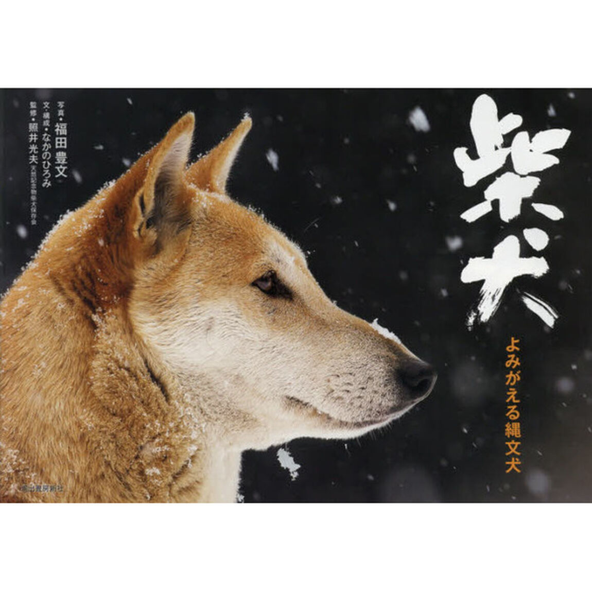 柴犬　よみがえる縄文犬