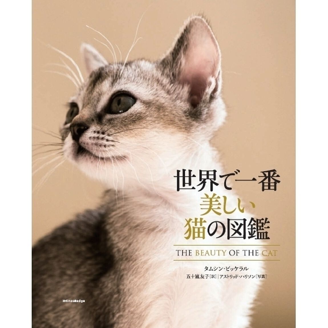 世界で一番美しい猫の図鑑　（クリアファイル特典付き＆シュリンク済み）