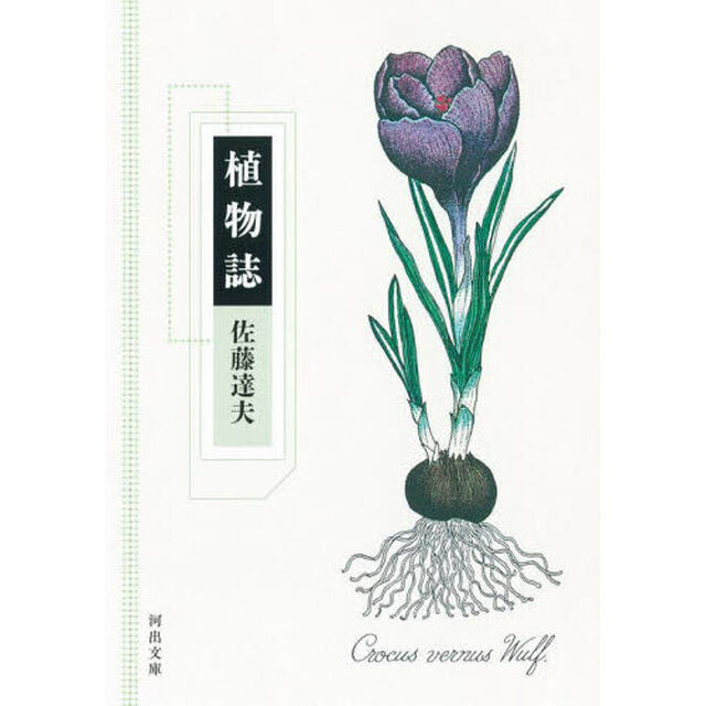 植物誌