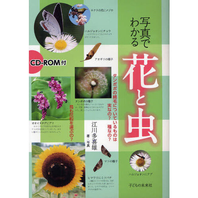 写真でわかる花と虫