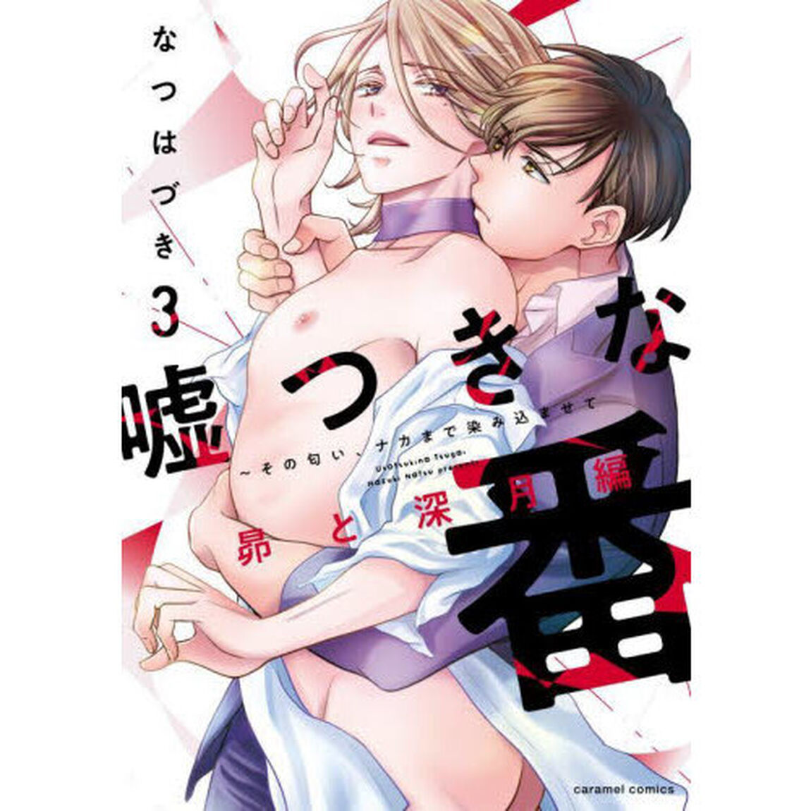 嘘つきな番　その匂い、ナカまで染み込ませて　３「昴と深月編」
