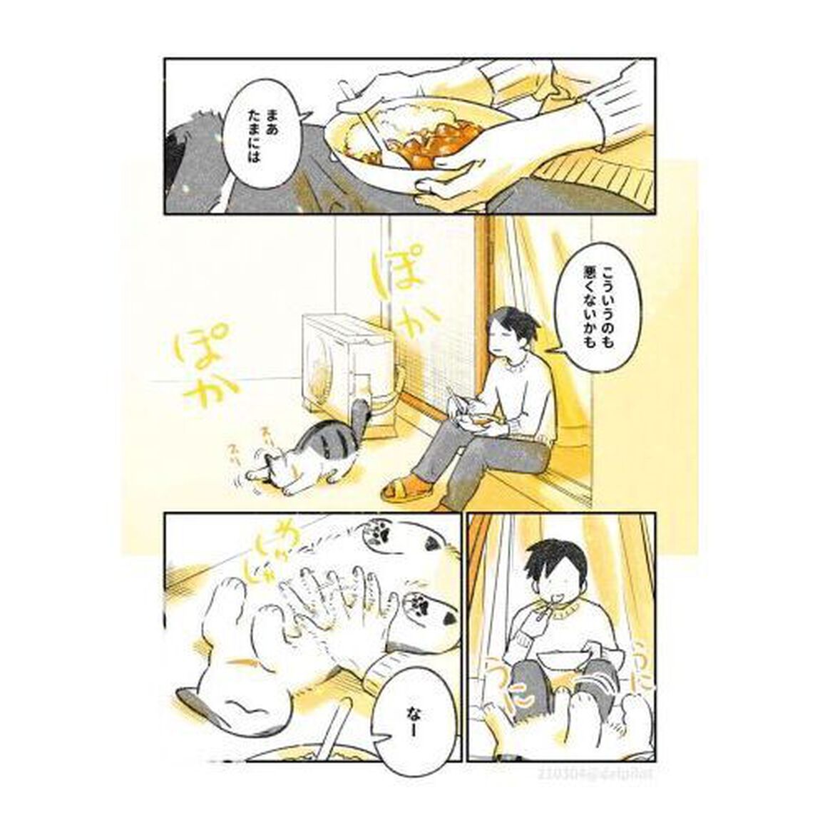 じじ猫くらし　２