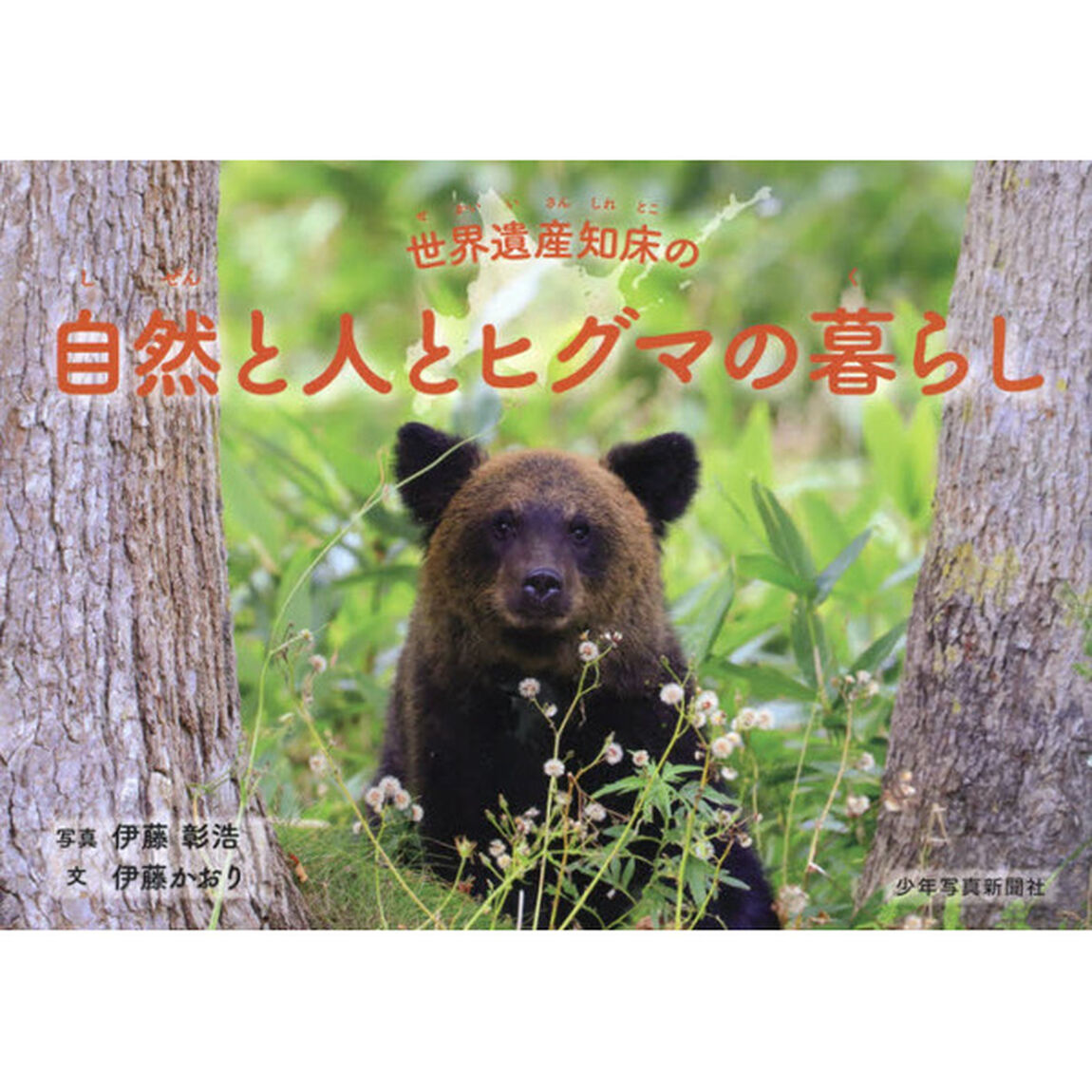 世界遺産知床の自然と人とヒグマの暮らし