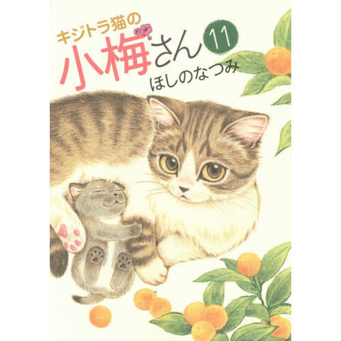 キジトラ猫の小梅さん　１１