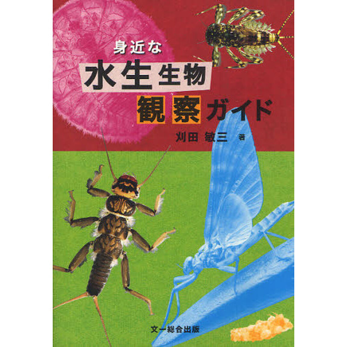 身近な水生生物観察ガイド