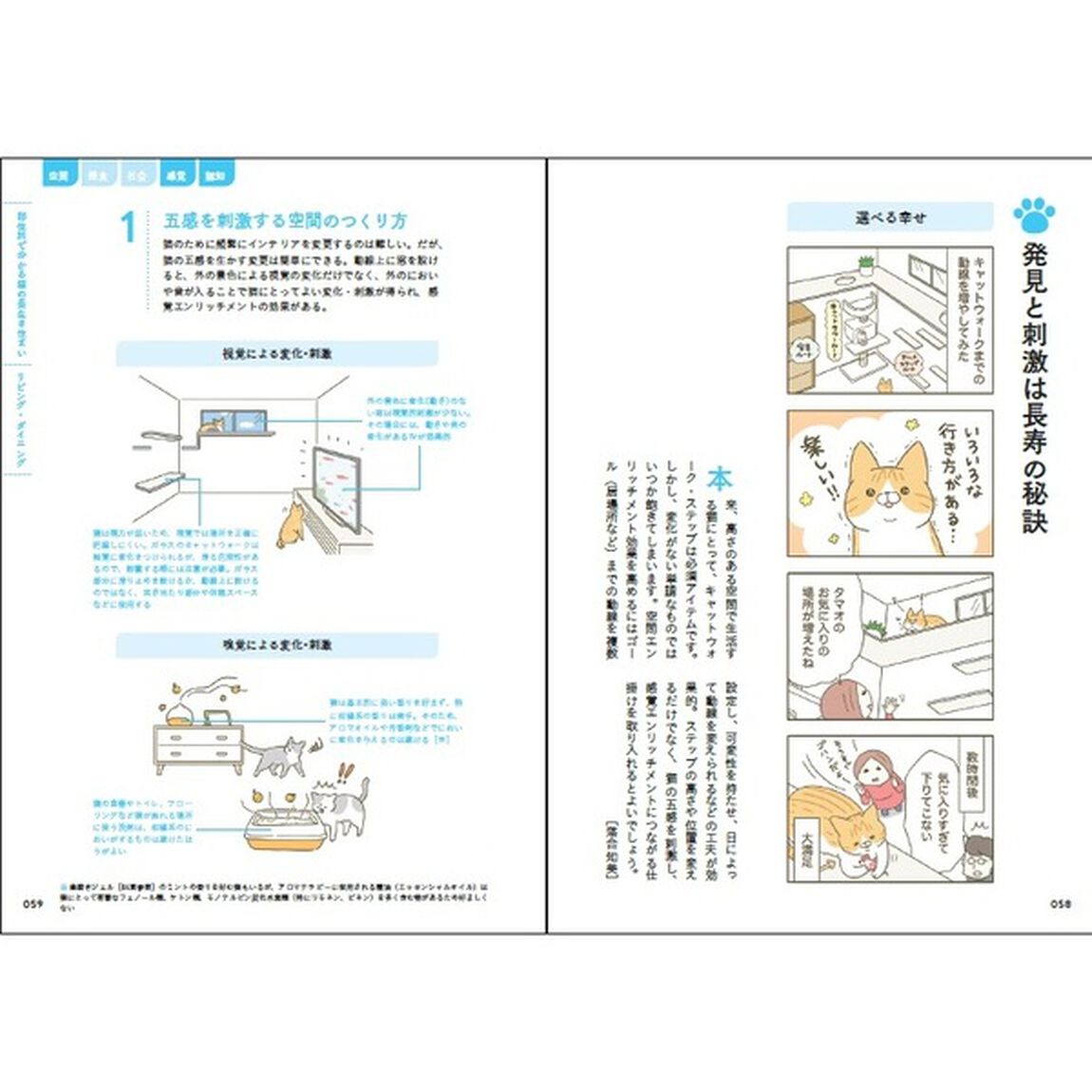 ２０歳まで猫が元気に長生きできる住まい