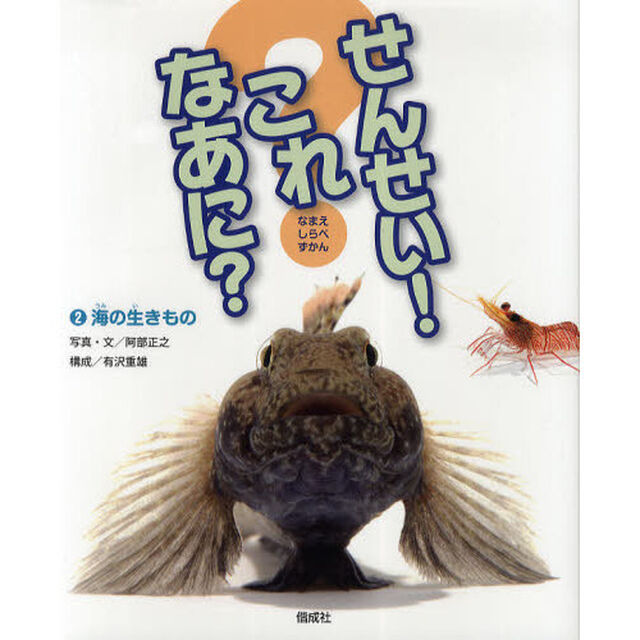 せんせい！これなあに？　なまえしらべずかん　２「海の生きもの」
