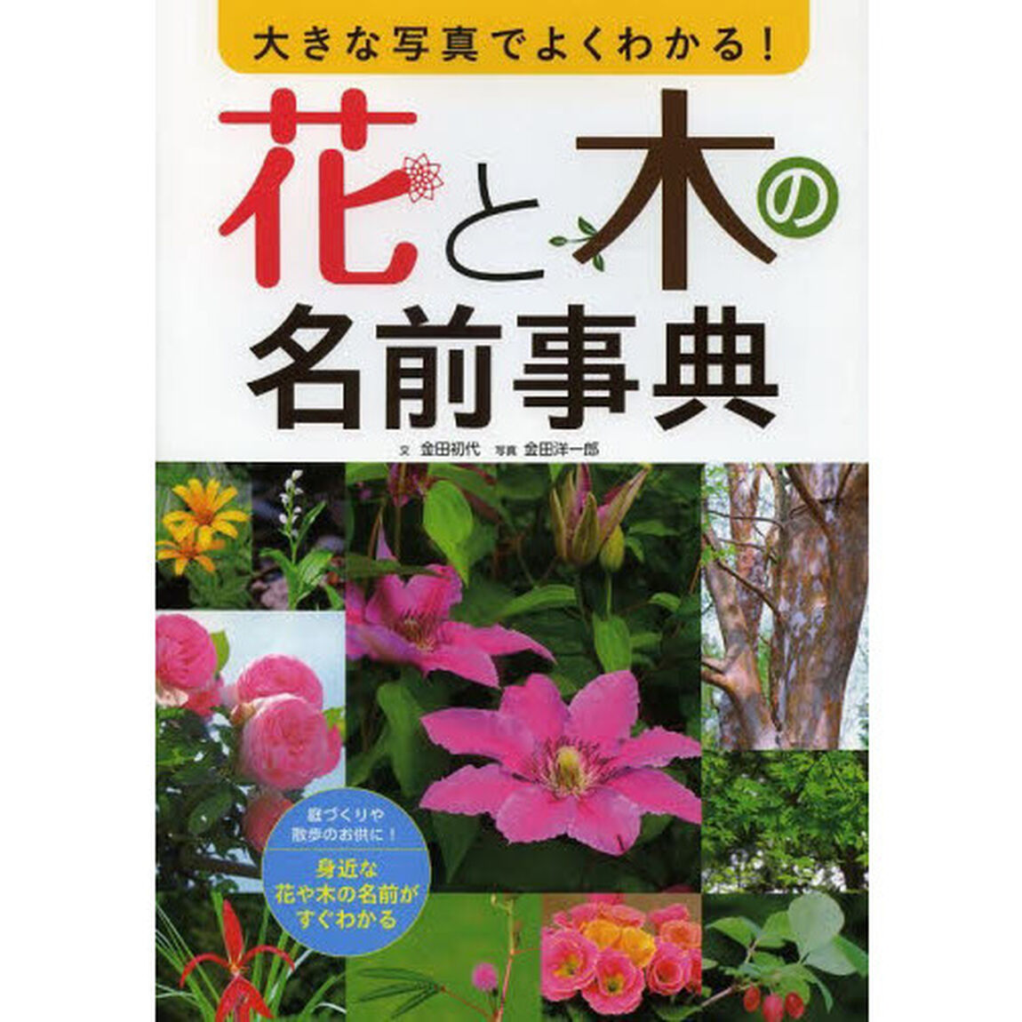 大きな写真でよくわかる！花と木の名前事典