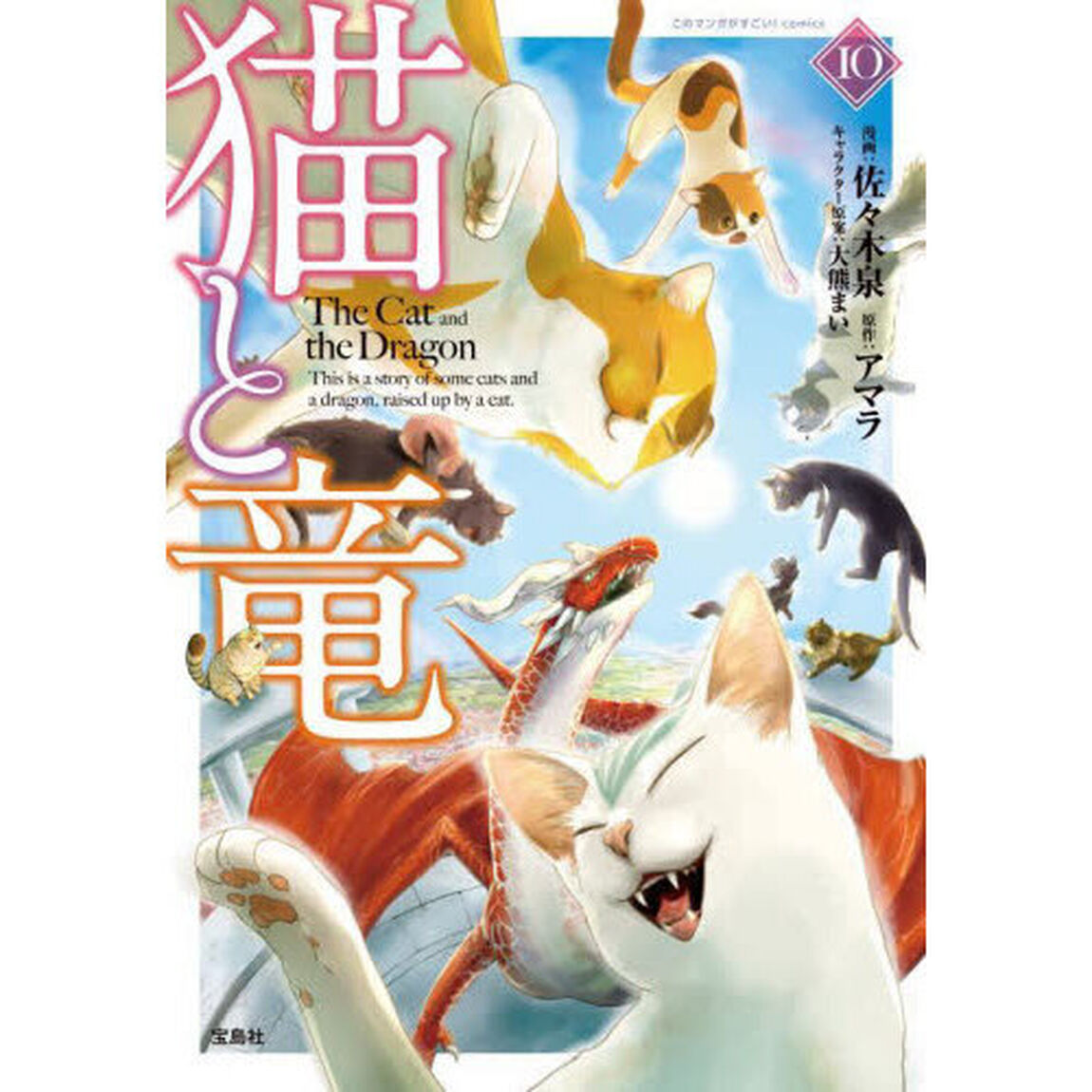 猫と竜　１０