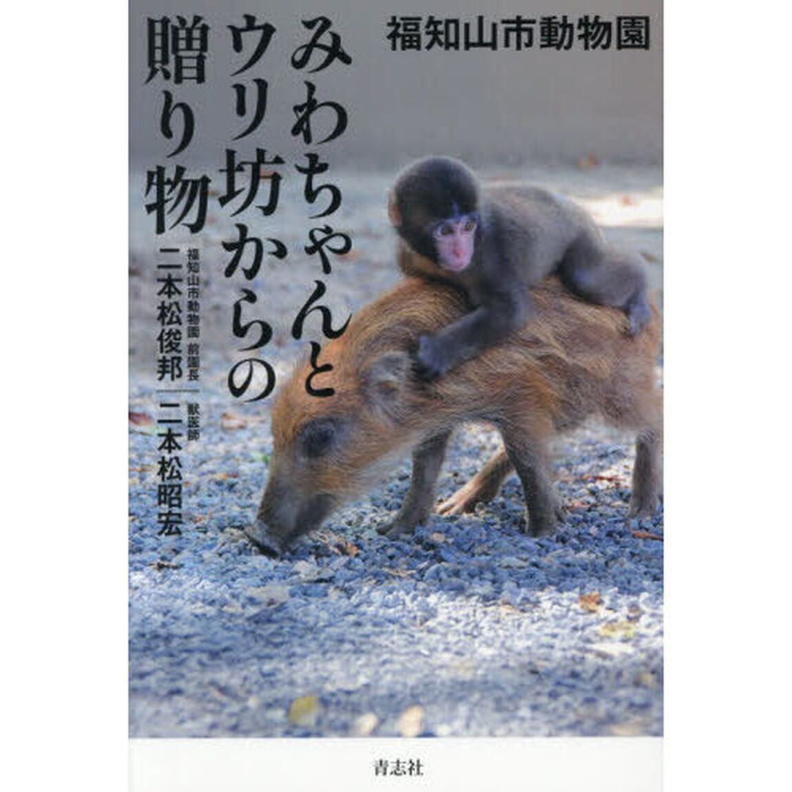 福知山市動物園みわちゃんとウリ坊からの贈り物