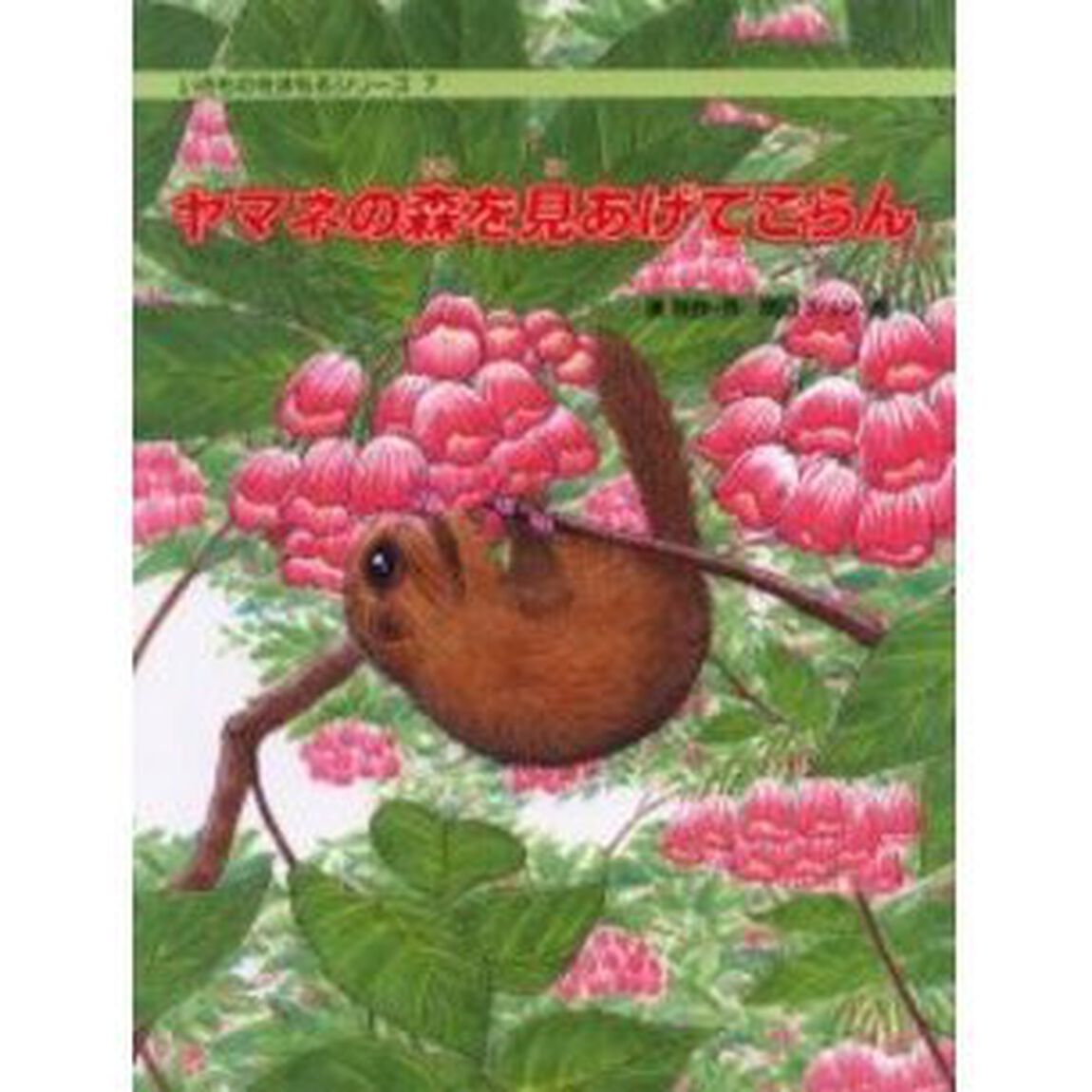 ヤマネの森を見あげてごらん