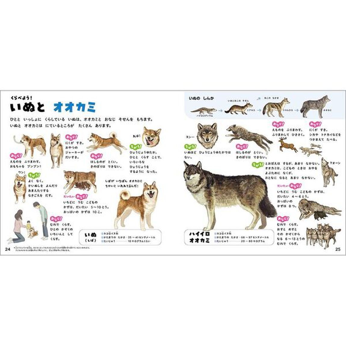 いぬのずかん　家いぬと野生いぬ
