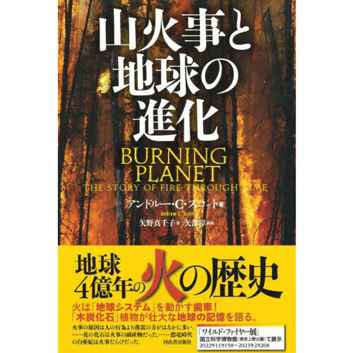 山火事と地球の進化