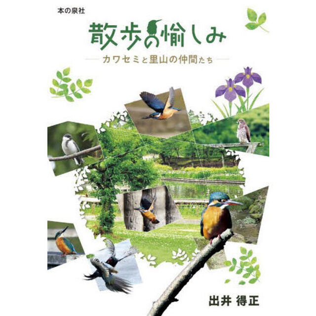 散歩の愉しみ　カワセミと里山の仲間たち