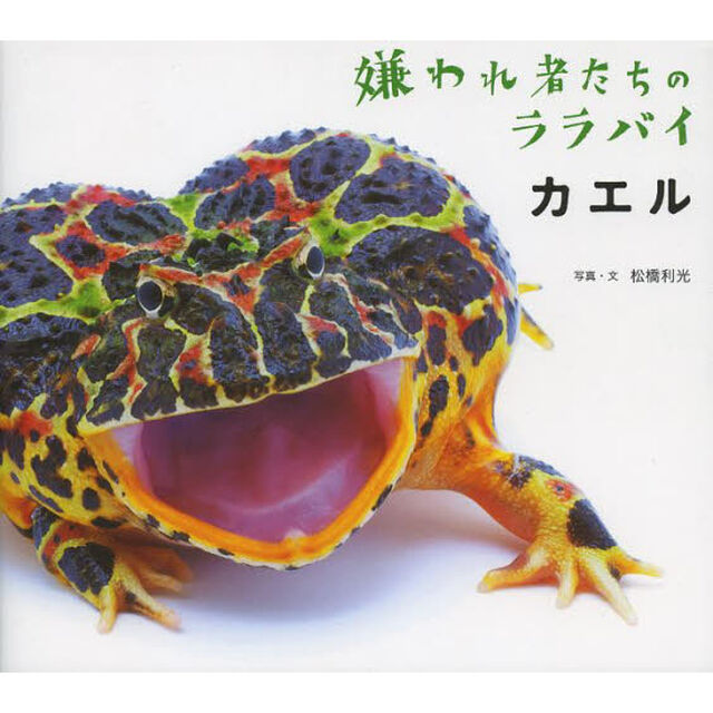 カエル　嫌われ者たちのララバイ