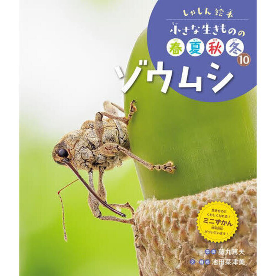 小さな生きものの春夏秋冬　しゃしん絵本　１０「ゾウムシ」