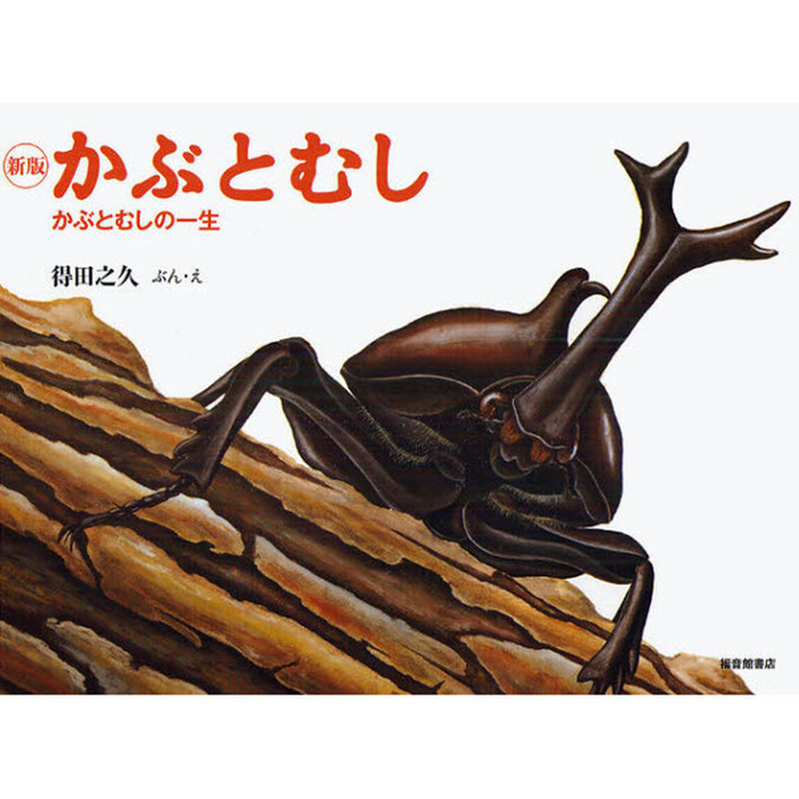 かぶとむし　かぶとむしの一生「新版」