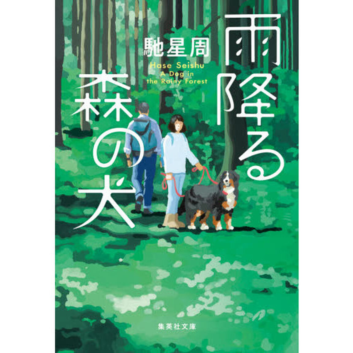 雨降る森の犬
