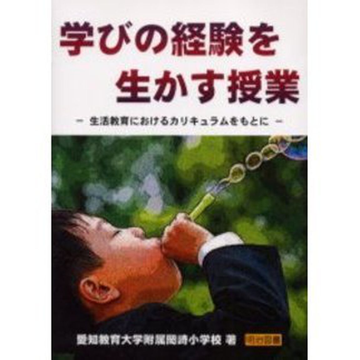 学びの経験を生かす授業　生活教育におけるカリキュラムをもとに