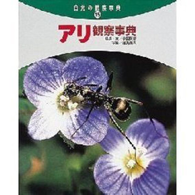 アリ観察事典