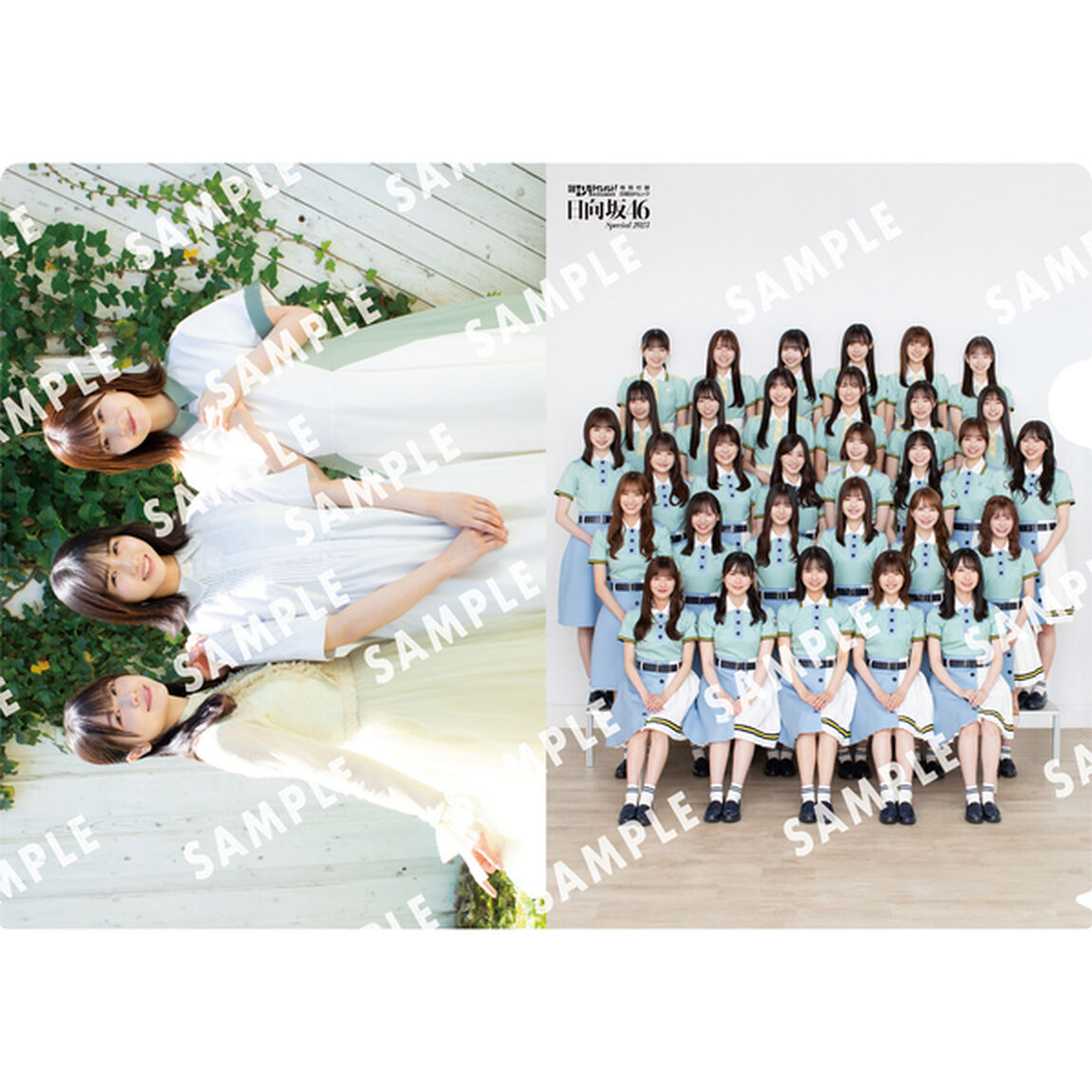 日経エンタテインメント！日向坂４６ Ｓｐｅｃｉａｌ ２０２３「上村ひなの　丹生明里　松田好花ほかメンバー３１名撮り下ろしインタビュー」