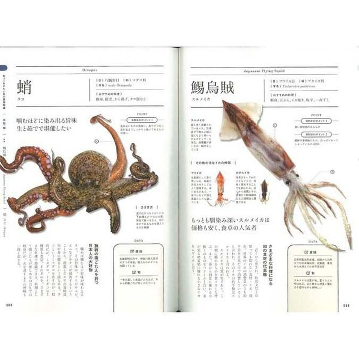 知っておきたい魚の基本　魚介を食べて元気になろう！　新装版