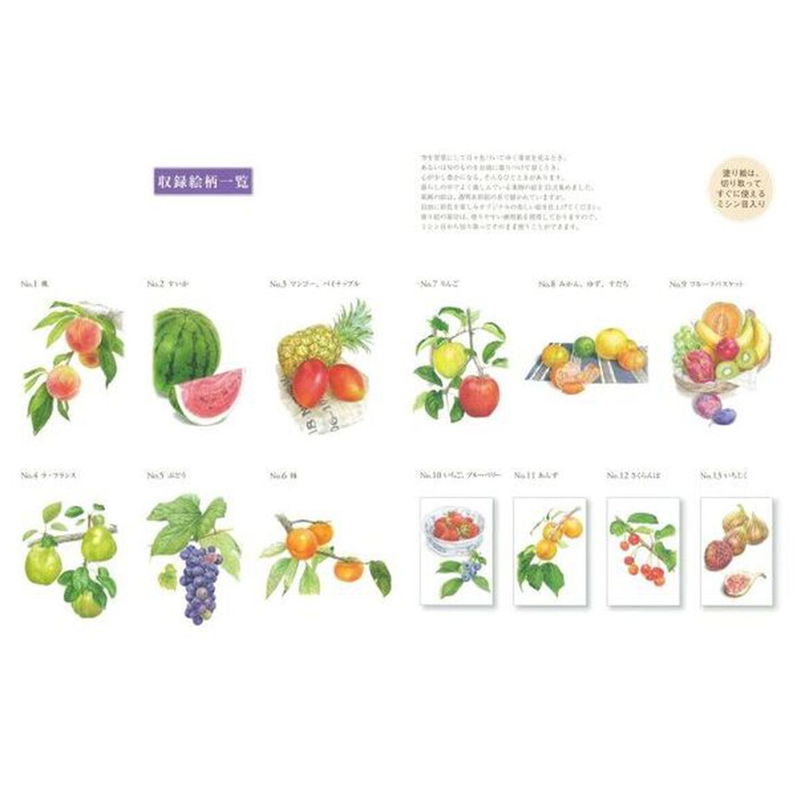 大人の塗り絵　すぐ塗れる、美しいオリジナル原画付き　季節の果物編　新装版