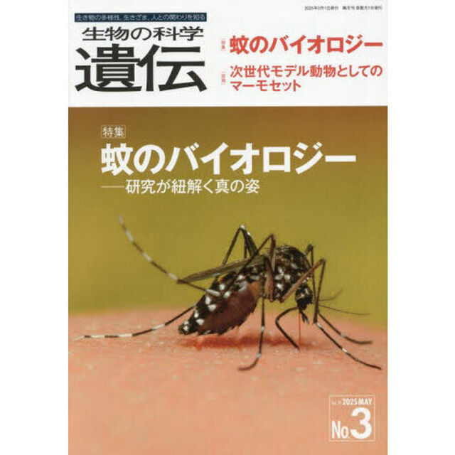 生物の科学遺伝　Ｖｏｌ．７９Ｎｏ．３（２０２５ＭＡＹ）「蚊のバイオロジー　研究が紐解く真の姿」
