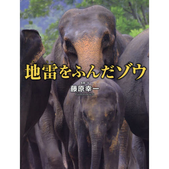 地雷をふんだゾウ