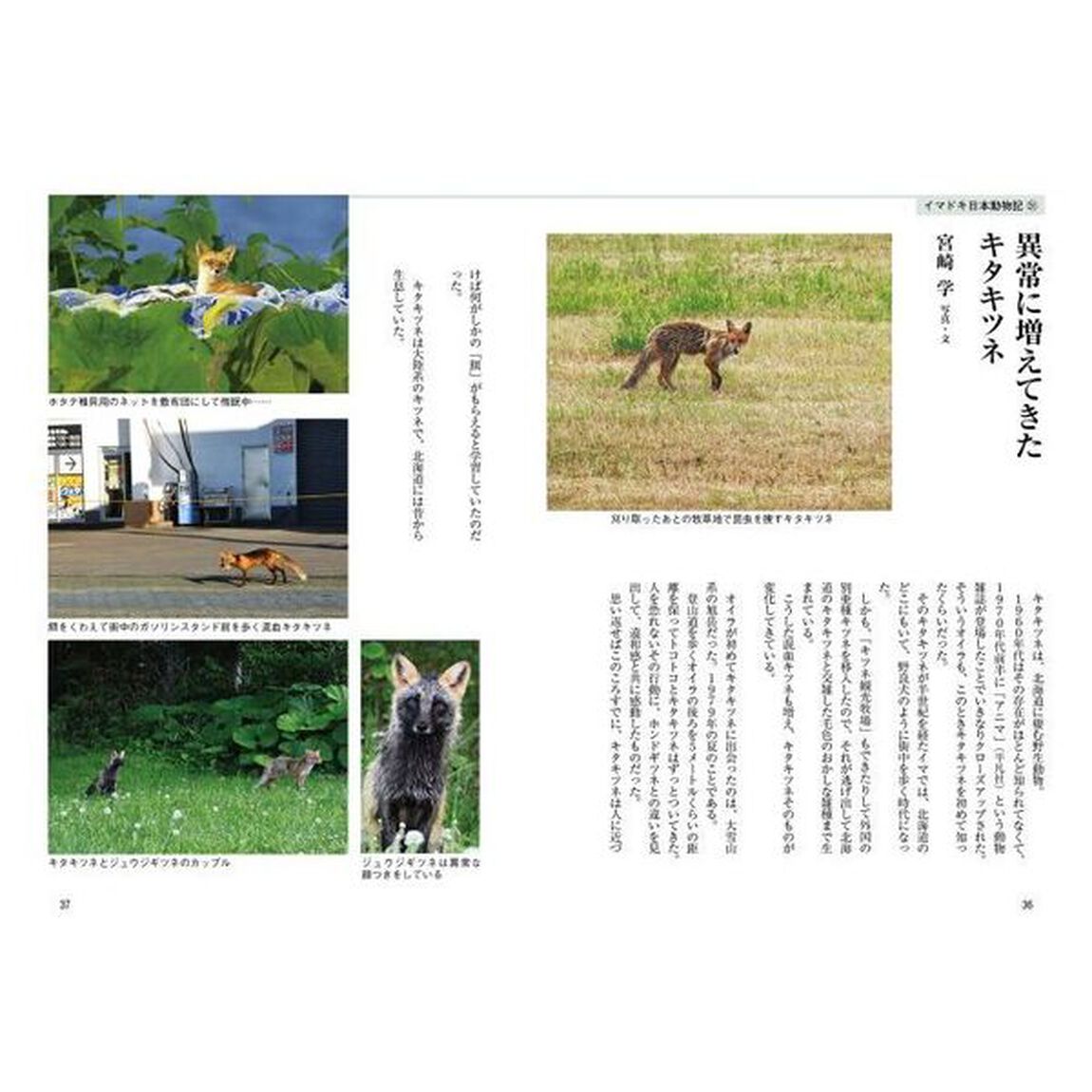 山の本　Ｎｏ．１２１（２０２２秋）「特集＝山で出会った人　山と人＝エヴェレスト初登頂の真偽」