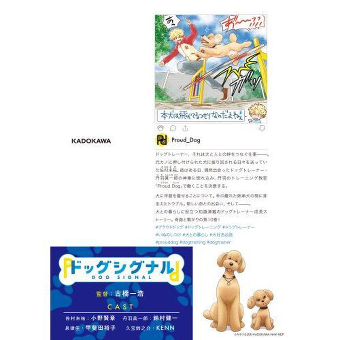 ＤＯＧ　ＳＩＧＮＡＬ　１０