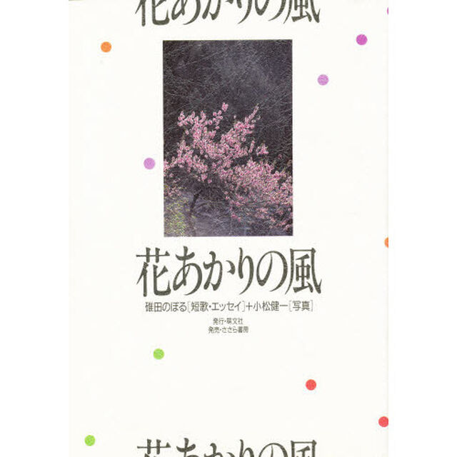 花あかりの風