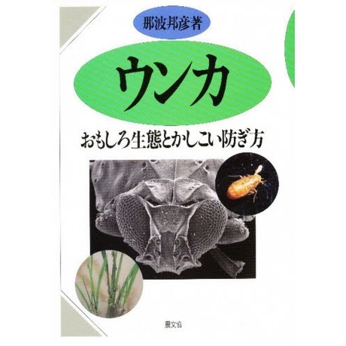 ウンカ　おもしろ生態とかしこい防ぎ方