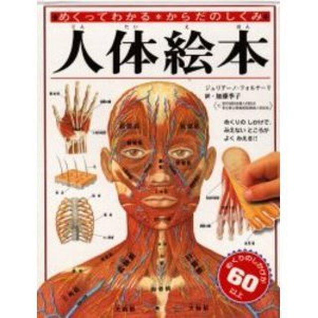 人体絵本　めくってわかるからだのしくみ