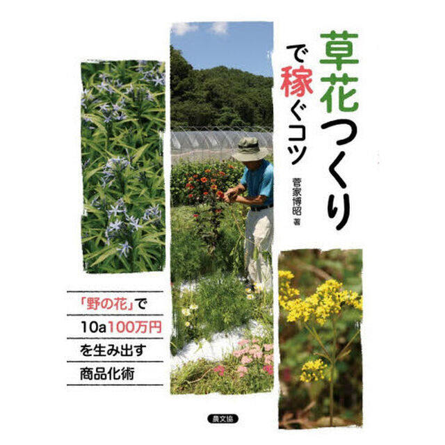 草花つくりで稼ぐコツ　「野の花」で１０ａ１００万円を生み出す商品化術
