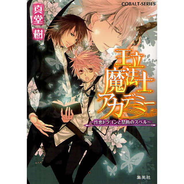王立魔法士アカデミー　〔２〕「性悪ドラゴンと禁断のスペル」