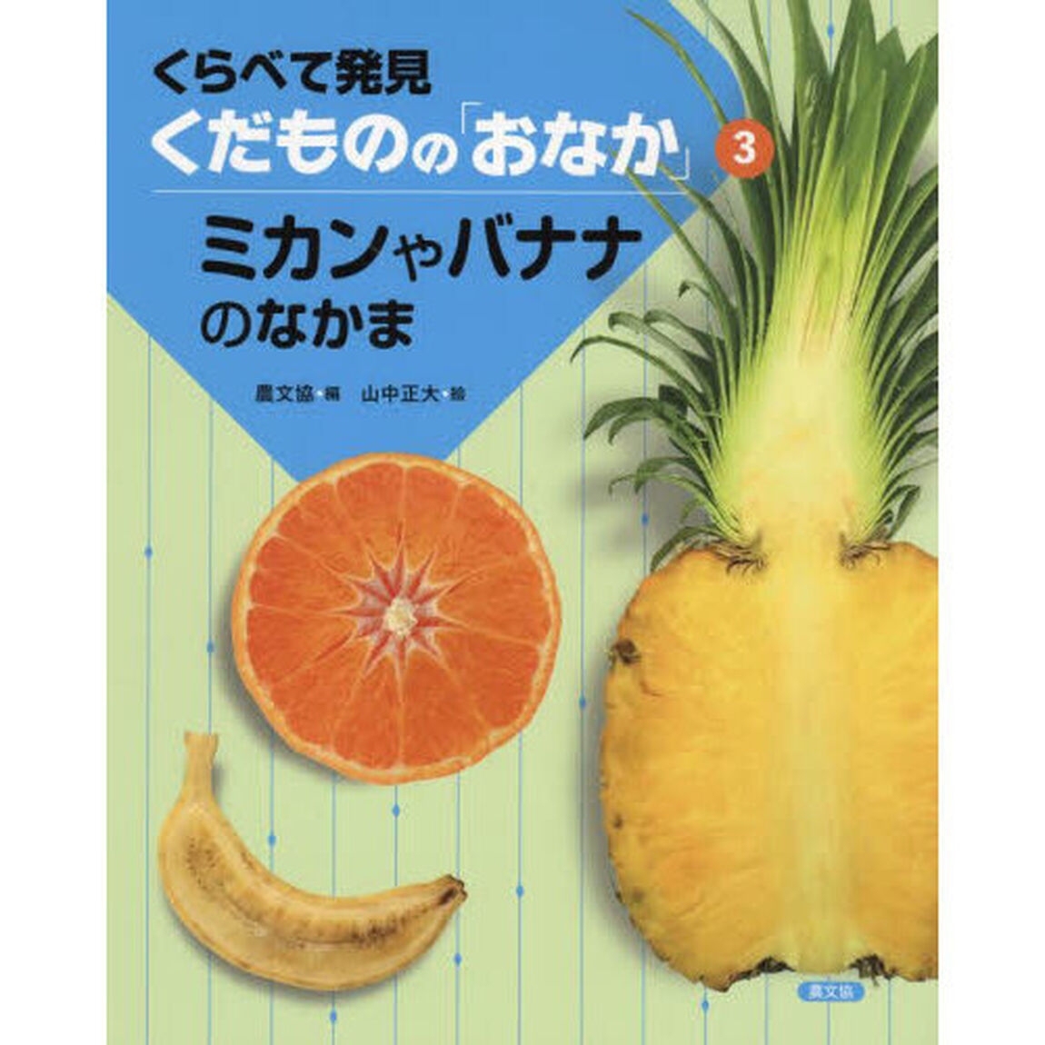 くらべて発見くだものの「おなか」　３「ミカンやバナナのなかま」