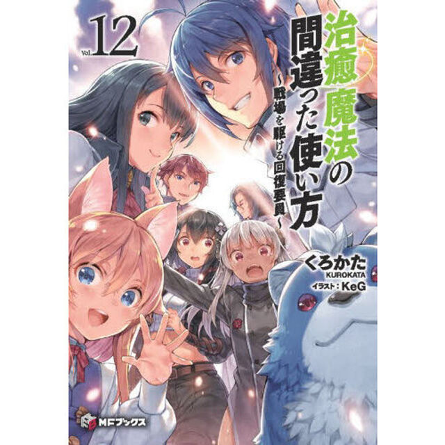 治癒魔法の間違った使い方　戦場を駆ける回復要員　１２