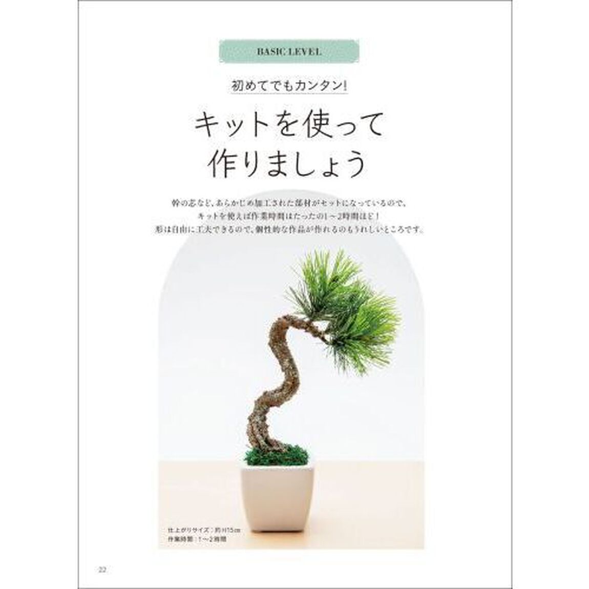 はじめてのクラフト盆栽