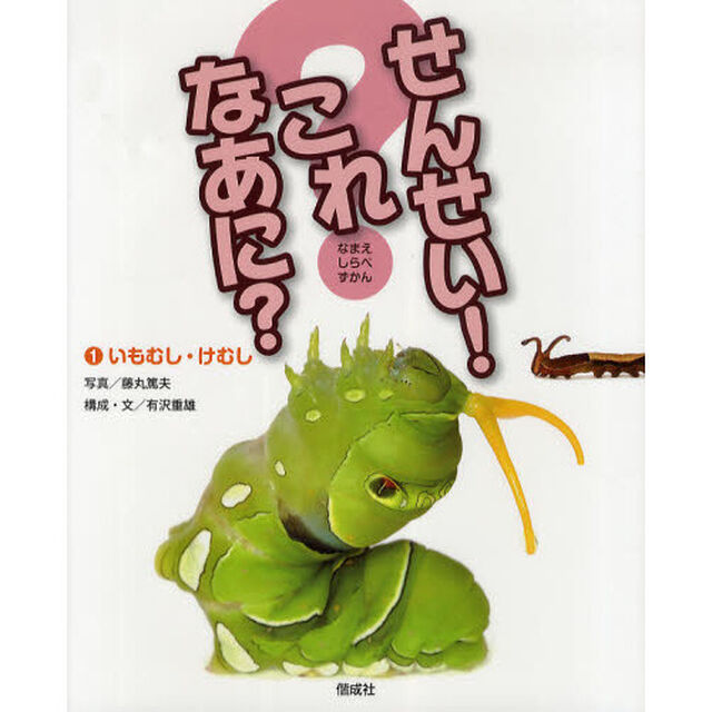 せんせい！これなあに？　なまえしらべずかん　１「いもむし・けむし」