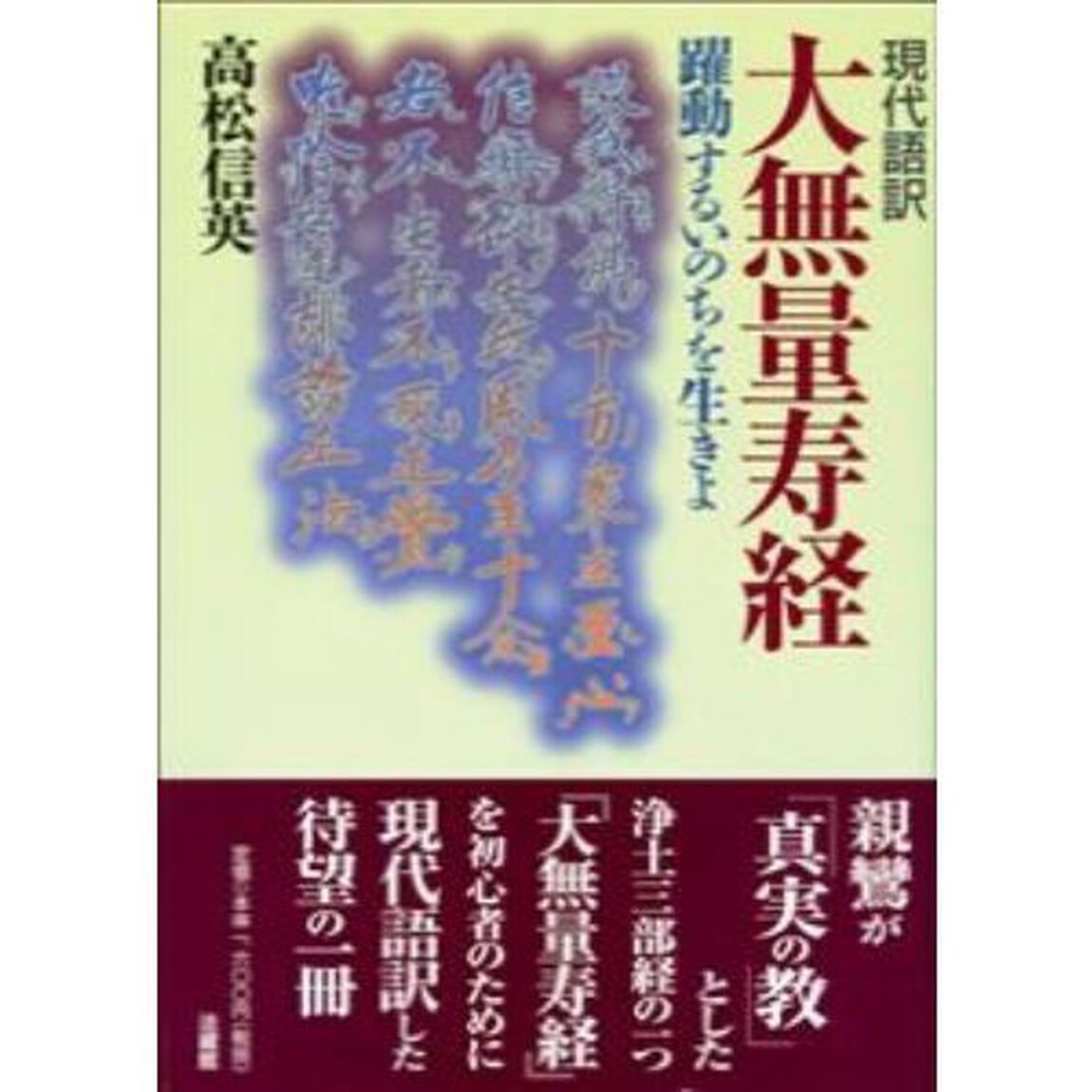 大無量寿経　現代語訳　躍動するいのちを生きよ