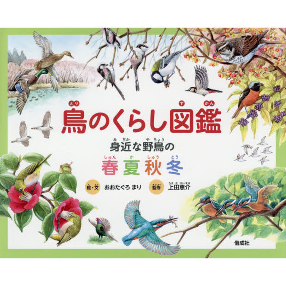 鳥のくらし図鑑　身近な野鳥の春夏秋冬