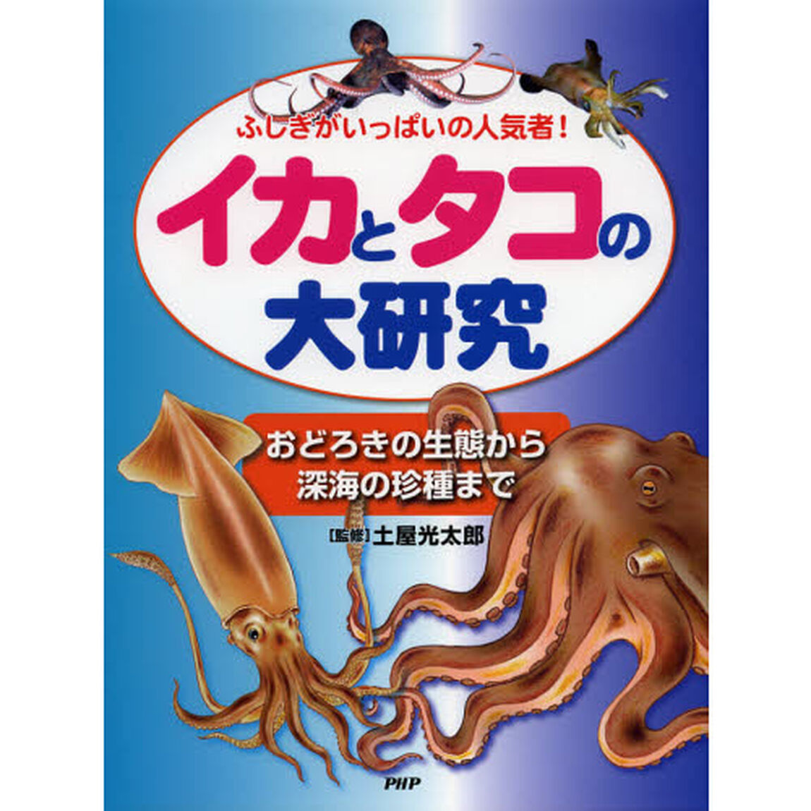 イカとタコの大研究　ふしぎがいっぱいの人気者！　おどろきの生態から深海の珍種まで