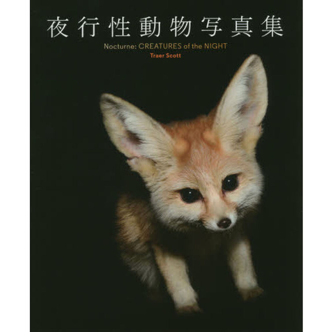 夜行性動物写真集