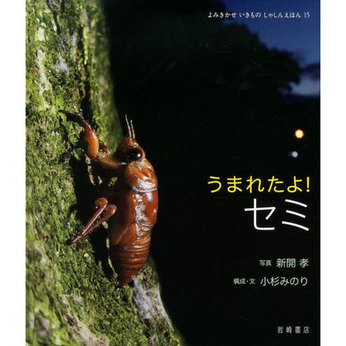 うまれたよ！セミ