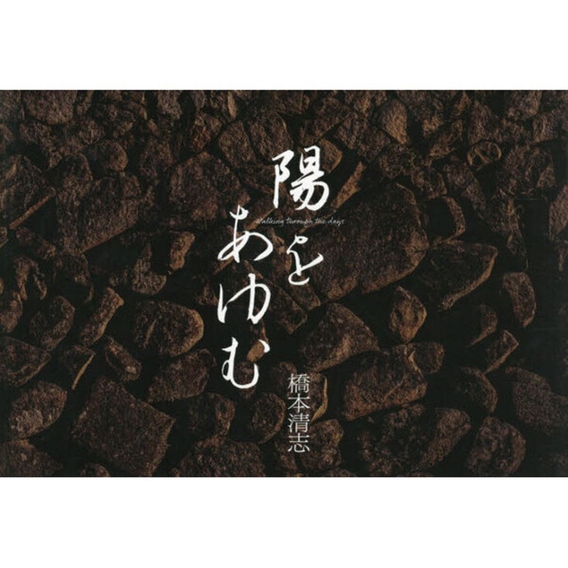 陽をあゆむ