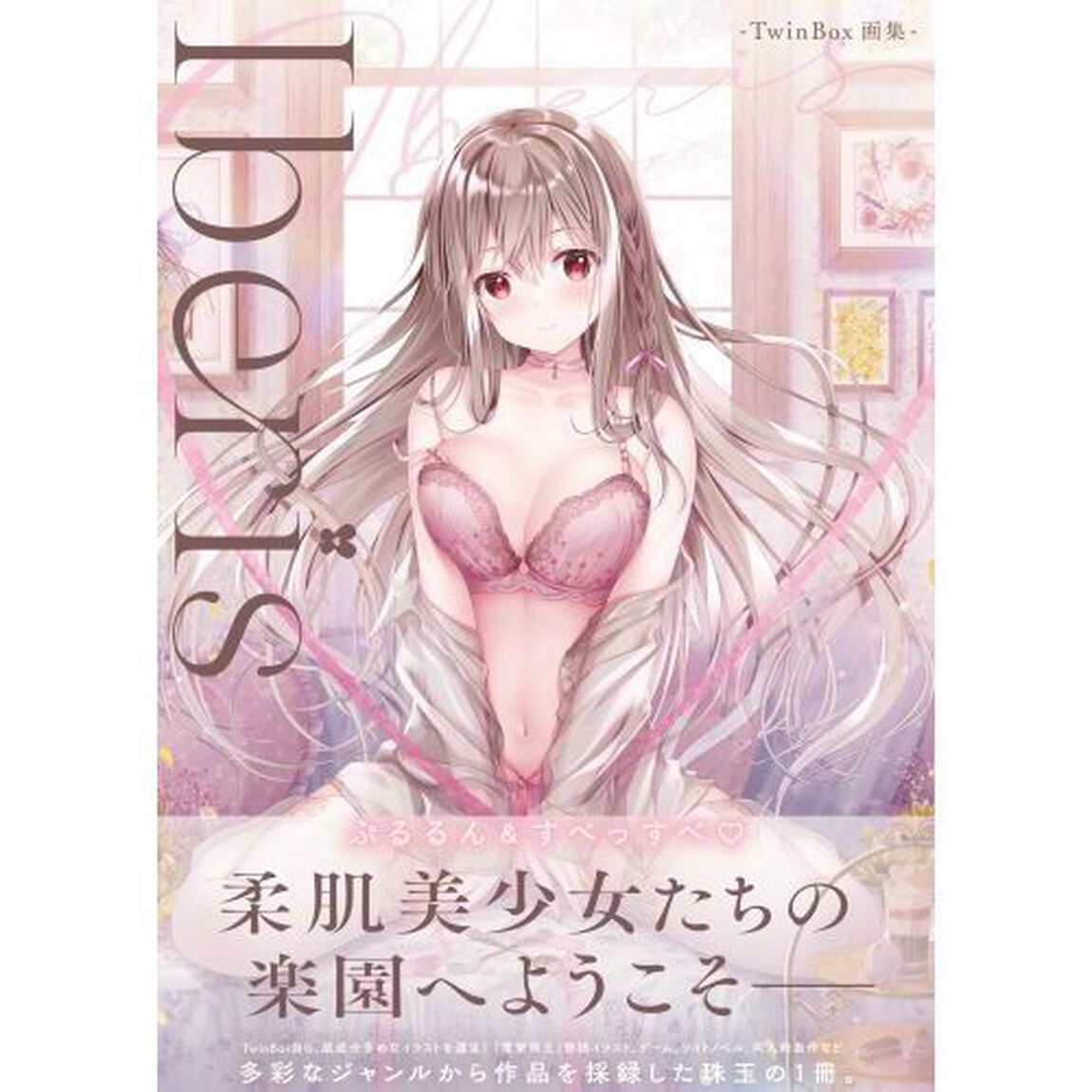 Ｉｂｅｒｉｓ　ＴｗｉｎＢｏｘ画集